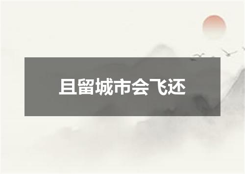 且留城市会飞还