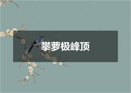 攀萝极峰顶