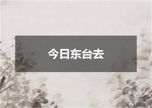 今日东台去