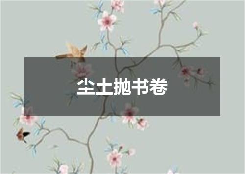 尘土抛书卷