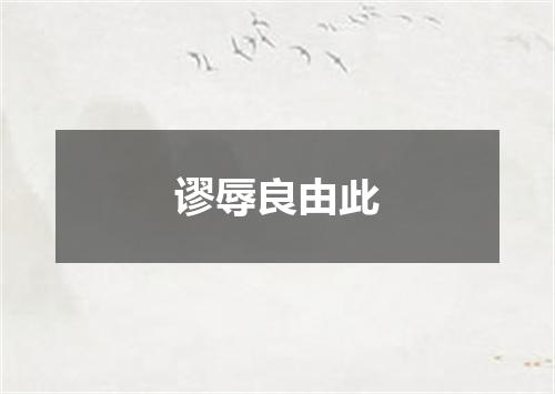 谬辱良由此