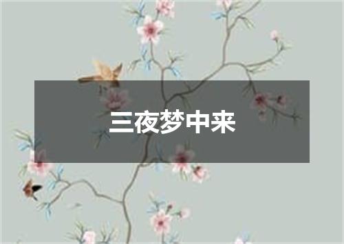 三夜梦中来
