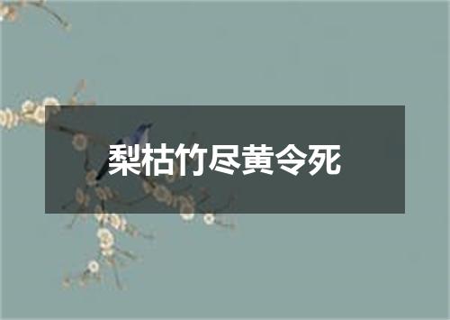 梨枯竹尽黄令死