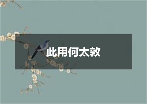 此用何太敦