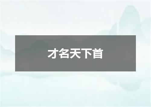 才名天下首