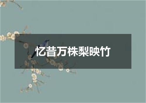 忆昔万株梨映竹