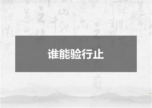 谁能验行止