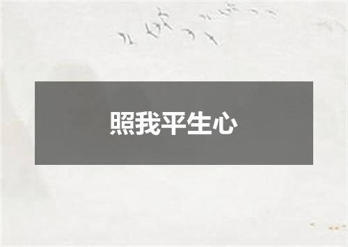 照我平生心