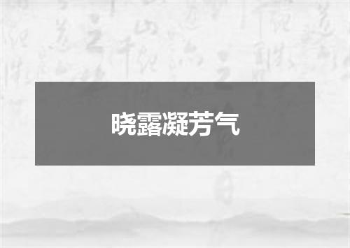 晓露凝芳气