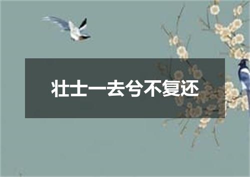 壮士一去兮不复还