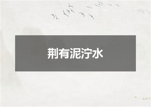 荆有泥泞水