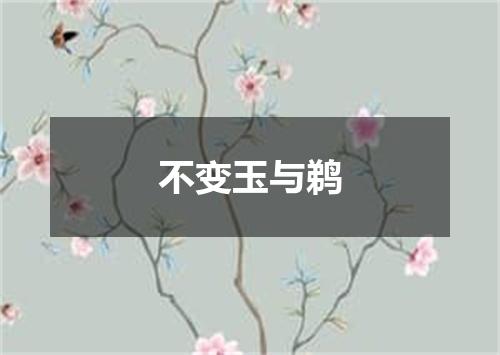 不变玉与鹈