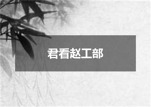 君看赵工部