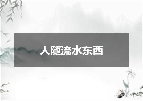 人随流水东西