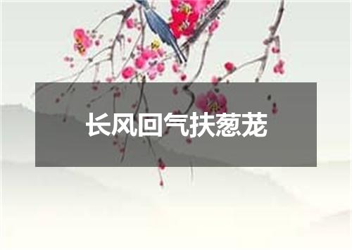 长风回气扶葱茏