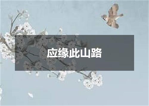 应缘此山路
