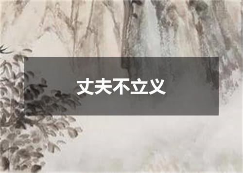 丈夫不立义