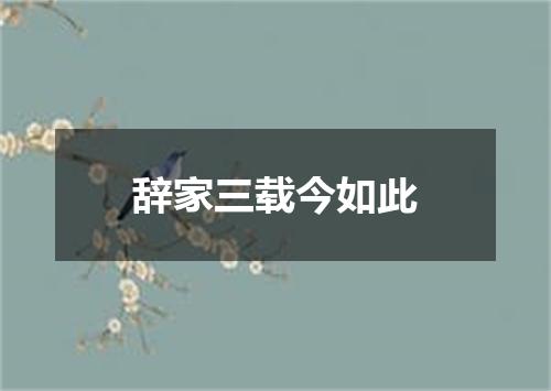 辞家三载今如此