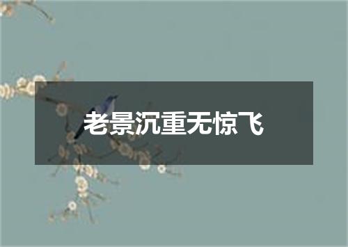 老景沉重无惊飞