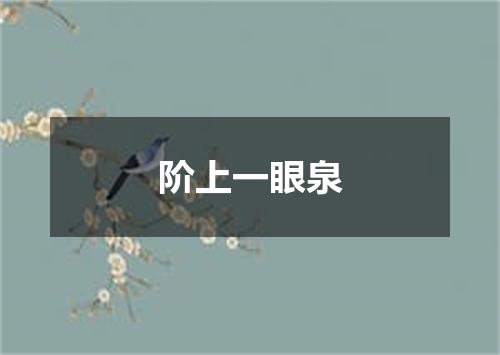阶上一眼泉