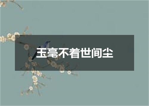 玉毫不着世间尘