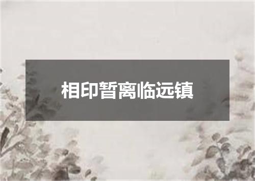 相印暂离临远镇