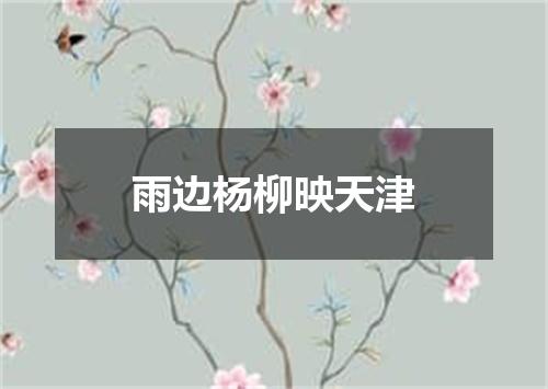 雨边杨柳映天津