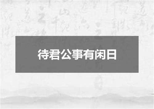 待君公事有闲日