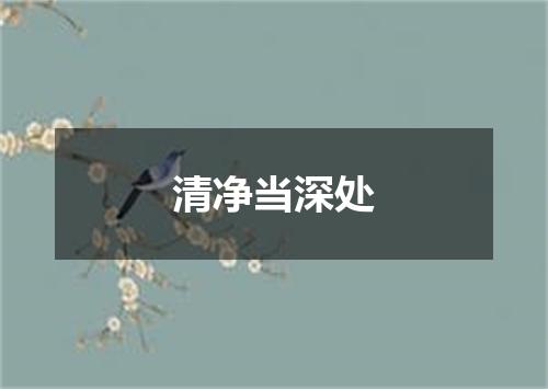 清净当深处