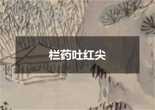 栏药吐红尖