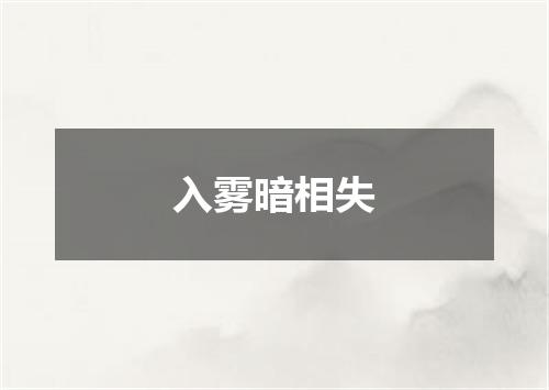 入雾暗相失