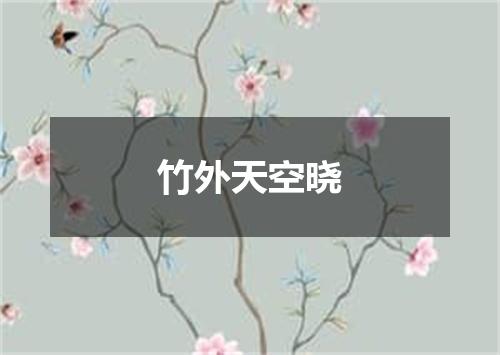 竹外天空晓