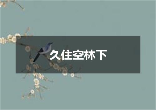 久住空林下