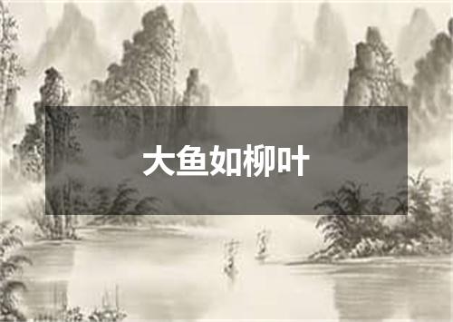 大鱼如柳叶