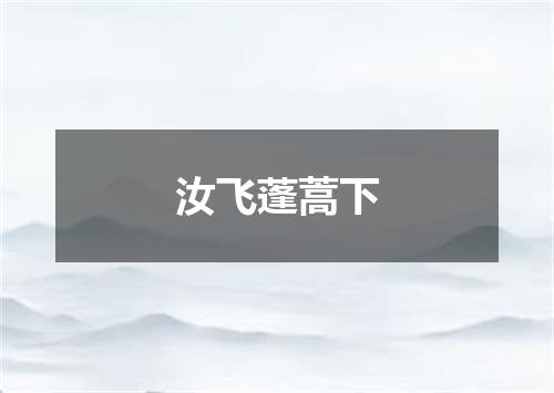 汝飞蓬蒿下
