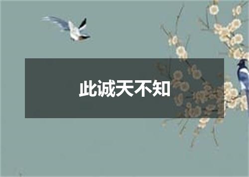 此诚天不知