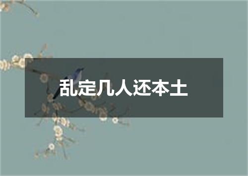 乱定几人还本土
