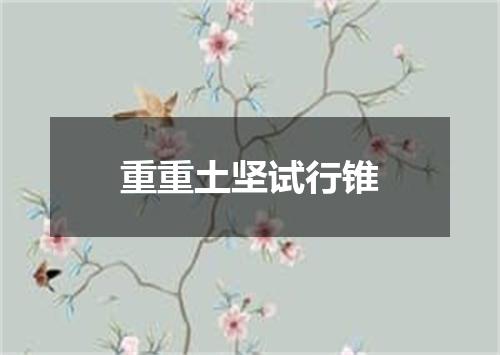 重重土坚试行锥