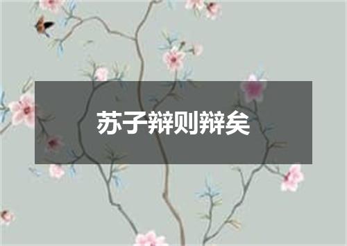 苏子辩则辩矣