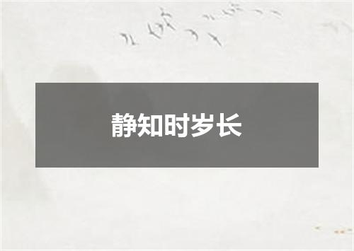 静知时岁长