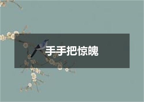 手手把惊魄