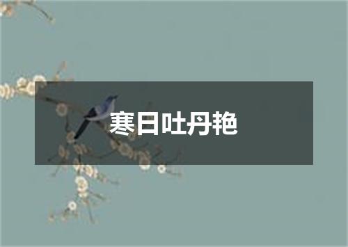 寒日吐丹艳