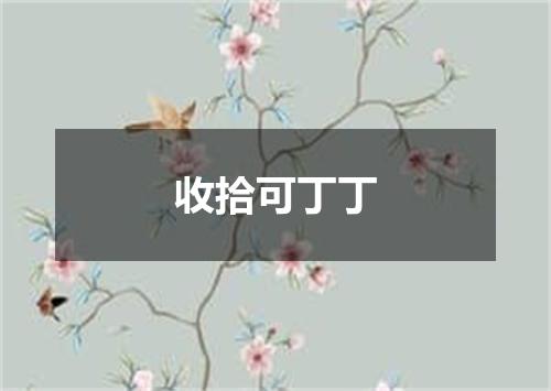 收拾可丁丁
