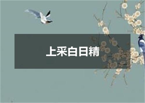 上采白日精