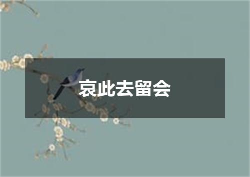 哀此去留会