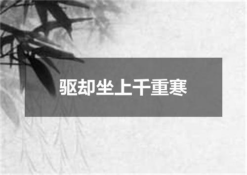 驱却坐上千重寒