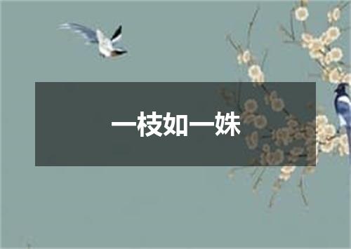 一枝如一姝