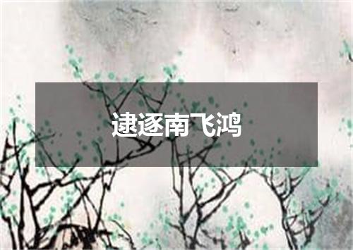 逮逐南飞鸿