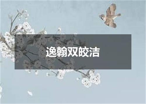逸翰双皎洁