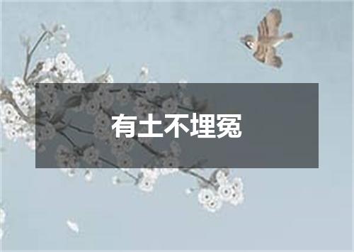 有土不埋冤